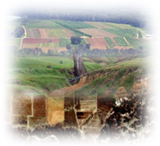 Photo: Goulburn Broken Land & Water