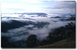 Photo: Alpine National Park