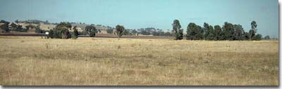 Photo: Soil Site GN7 Landscape