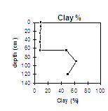 VIT6 Clay