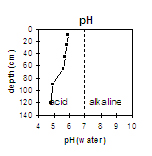 VIT6 pH