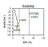 VIT6 Sodicity