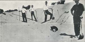 Image:  Report on Sand Drift Problem in Mallee Areas