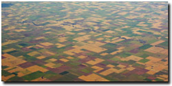 Photo: Cropping in the southern Mallee (November 2003)