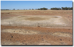 Photo: Dry stock dam near Birchip