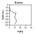 ESAS10 boron