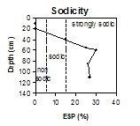 ESAS10 sodicity