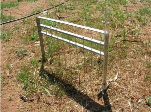 Mallee soil erosion and land management survey figure 2