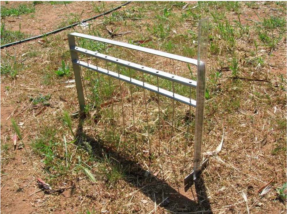 Mallee soil erosion and land management survey - Spring 2011 - figure 2 - photo