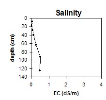 MP12 salinity