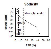 MP12 sodicity