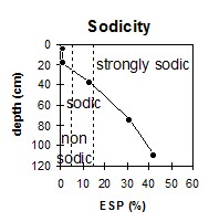 MP13 sodicity