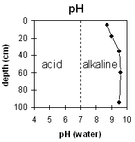 Graph: pH levels for Soil Pit Site MP 14