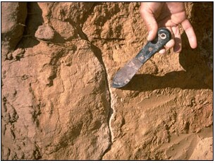 Photo: Soil Pit Site MP 18 Profile