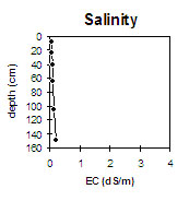 Photo: Soil Pit Site MP 18 salinity