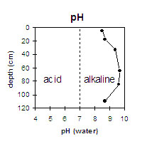 Photo: Soil Pit Site MP 19 pH