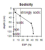 Photo: Soil Pit Site MP 19 sodicity