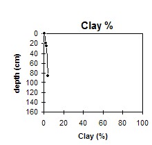 MP1 Clay