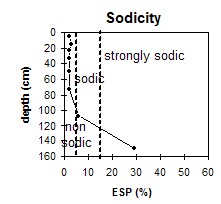 MP1 Sodicity