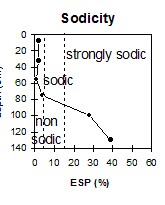 MP20 sodicity