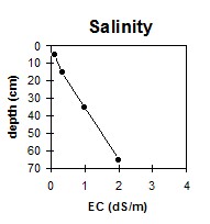 MP21 salinity