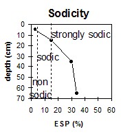 MP21 sodicity