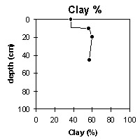 Photo:  MP 34 clay graph