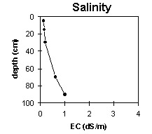 Photo:  MP 34 salinity