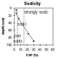 Photo:  MP 34 sodicity
