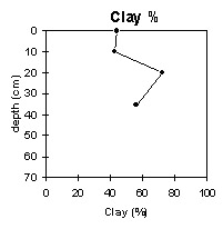 Photo:  MP 35 clay