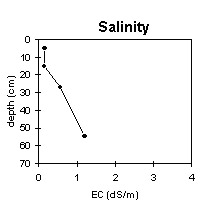 Photo:  MP 35 salinity