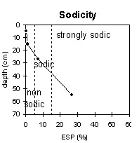 Photo:  MP 35 sodicity