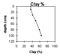Photo:  MP 36 clay