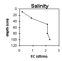 Photo:  MP 36 salinity
