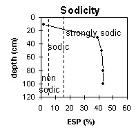 Photo:  MP 36 sodicity