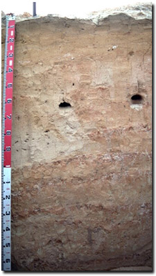 Photo: Soil Pit Site MP3 Profile