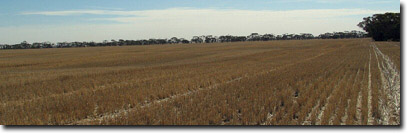 Photo:  MP 40 landscape