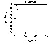 Photo:  MP 42 boron