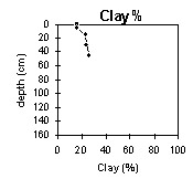 Photo:  MP 41 clay