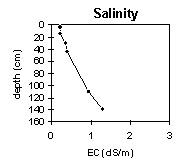 Photo:  MP 42 salinity