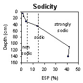 Photo:  MP 42 sodicity