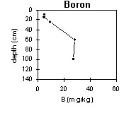 Photo:  MP 43 boron