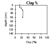 Photo:  MP 43 clay