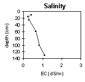 Photo:  MP 43 salinity