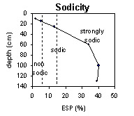Photo:  MP 43 sodicity