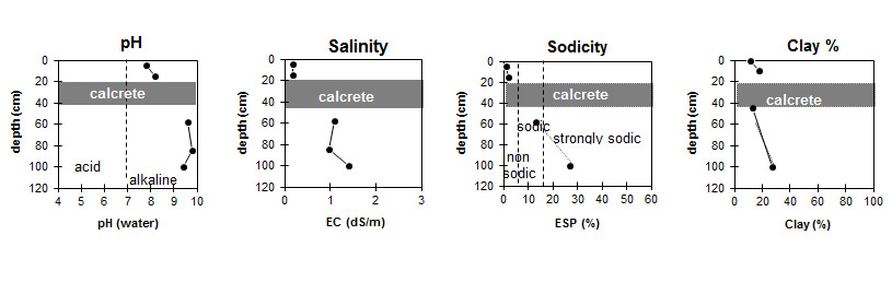 Image:  MP49 graph