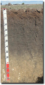 Photo: Site ORZC14 Profile