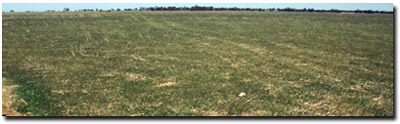 Photo: Site ORZC1 Landscape