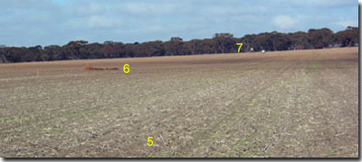 Photo: Site ORZC5 & 6 & 7 landscape