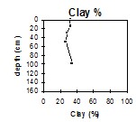 ORZC8 clay